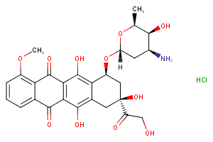 Doxorubicin HCl Doxorubicin HCl